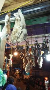 Foetus de lama au mercado de las brujas