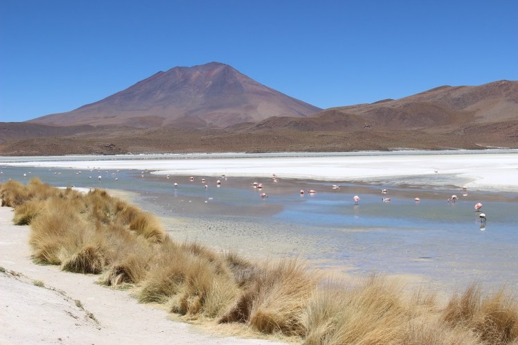 Lagune Hedionda, Sud Lipez, Bolivie
