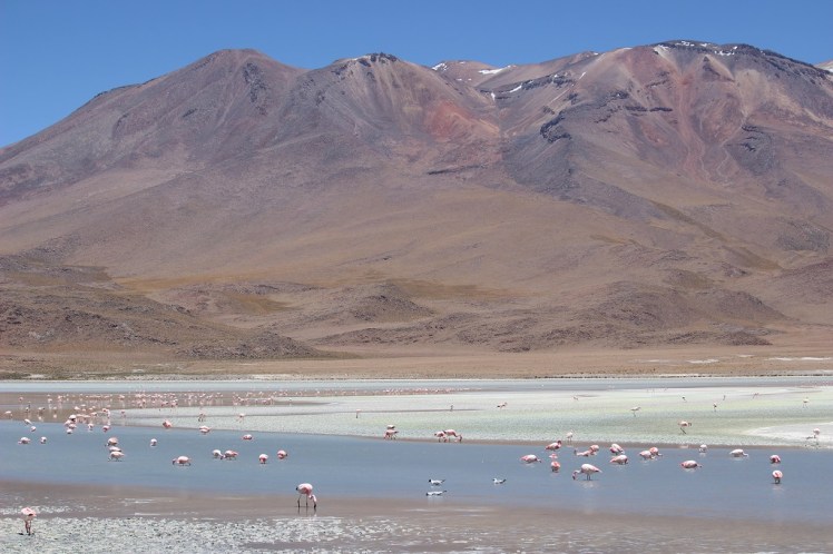 Lagune Hedionda, Sud Lipez, Bolivie