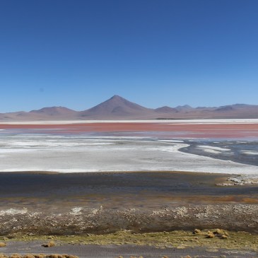 Laguna colorada, Sud Lipez, Bolivie