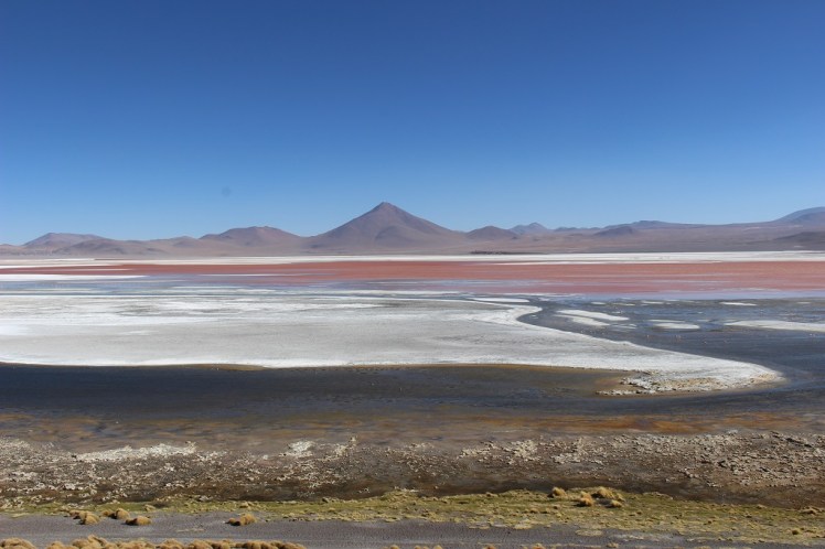 Laguna colorada, Sud Lipez, Bolivie