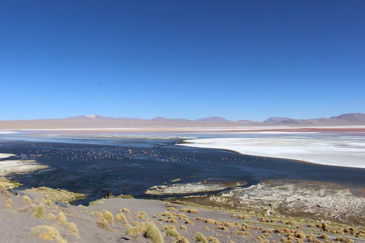 Laguna colorada, Sud Lipez, Bolivie