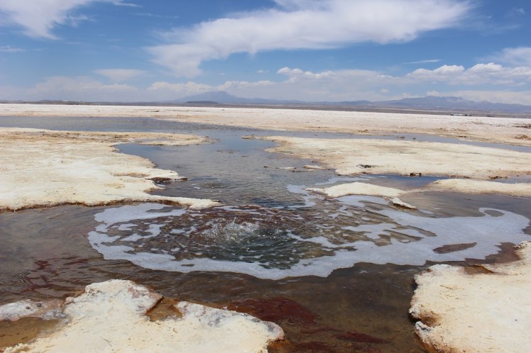 Ojos del Salar, Uyuni, Bolivie