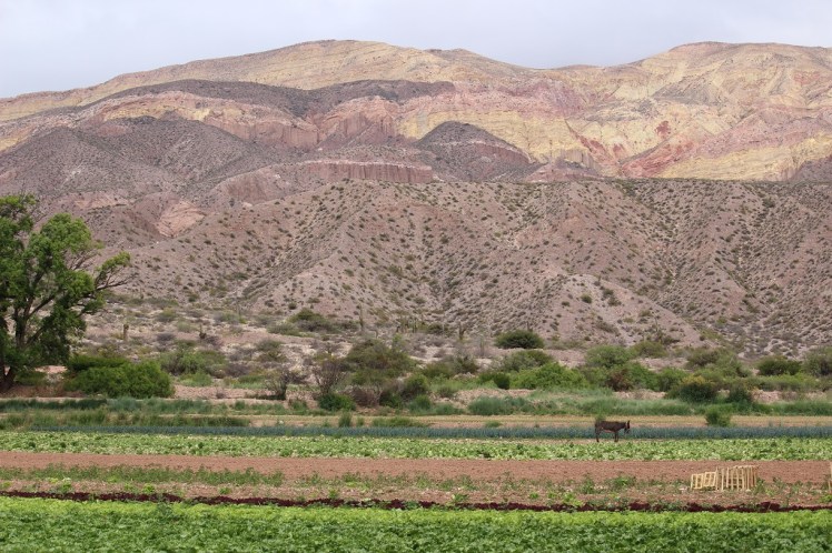 Quebrada de Humahuaca