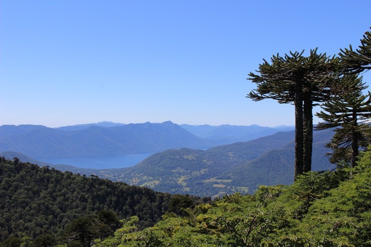 Vue sur le lac Caburga depuis le sommet du Cañi