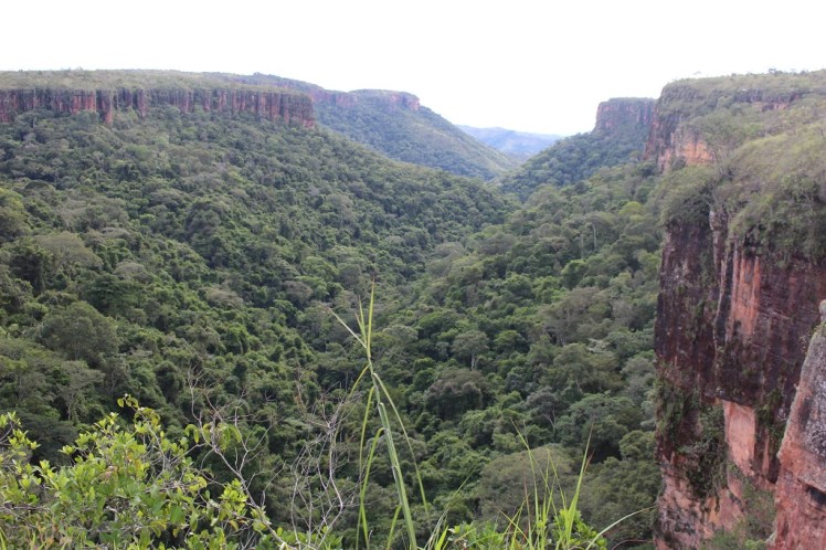 chapada_do_guimaraes_2